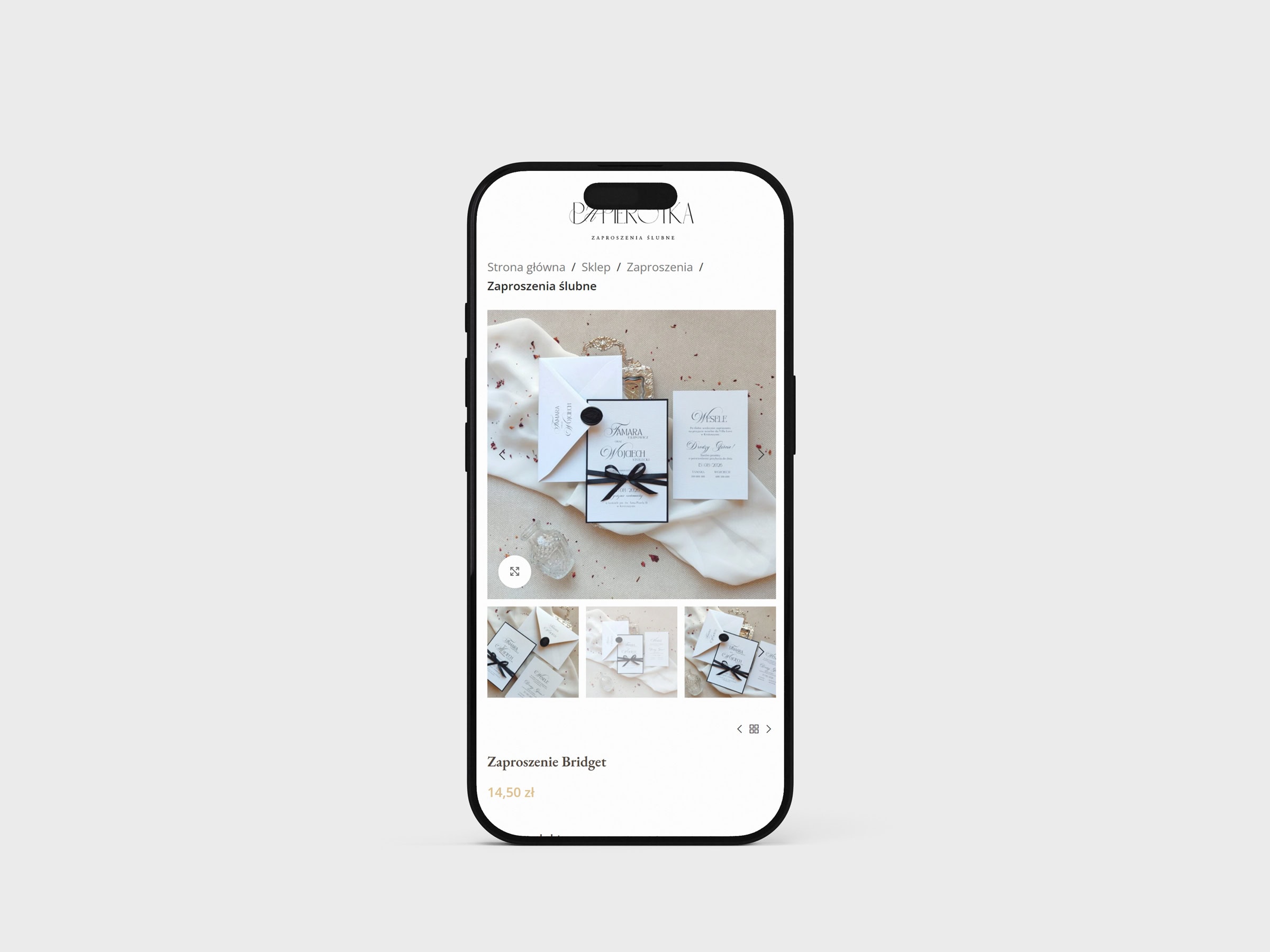 Papierotka.pl custom plugin case study